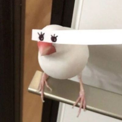 Цĺ˼΢ͷ