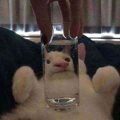 Цĺ˼΢ͷ