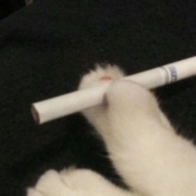 Цĺ˼΢ͷ
