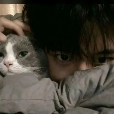 ˧ͷϼ