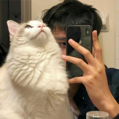 Ⱥ«ͷͼƬ
