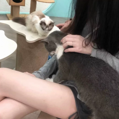 ȵĿɰСŮͷͼƬ