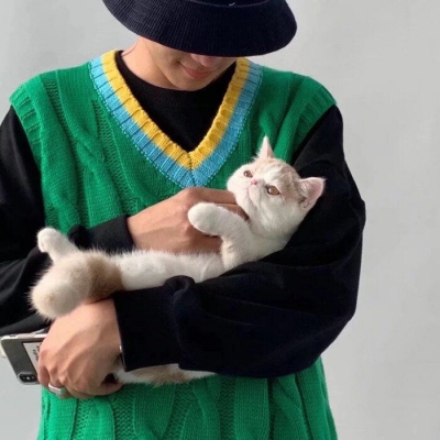 ˧ÿͷ