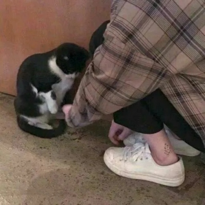 ɥϵͷ