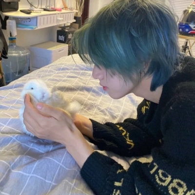 °泬ͷ