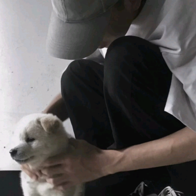 ܻˬɥϵ˧ͷ