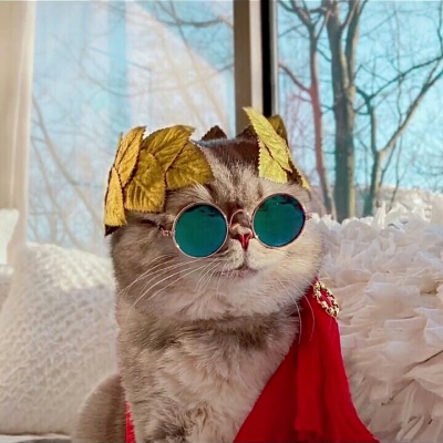 ˧˵Ķͷ