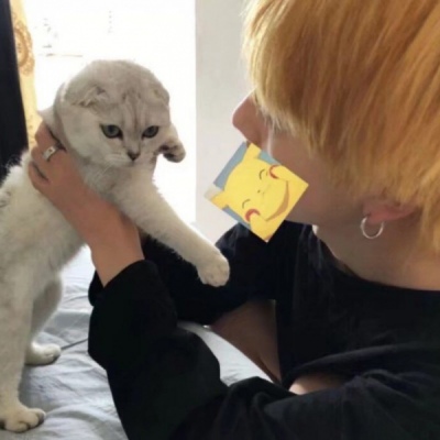 ͷ˧ ůͷ