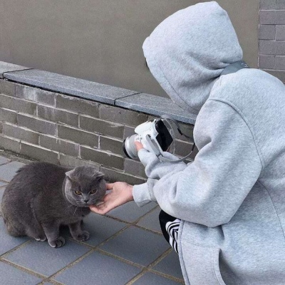 ʱinsͷ