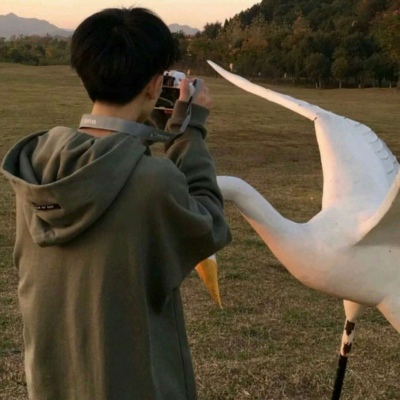 ͷϼ