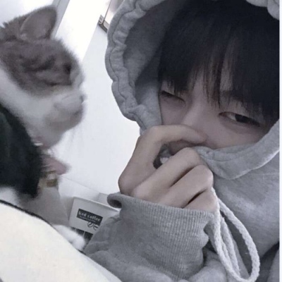 Ԫ˧ͷ ѡÿĶԪͷ