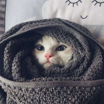 ͨСͷ