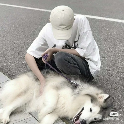 ȫÿͷ