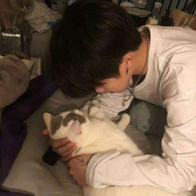 ˧ºÿͷ