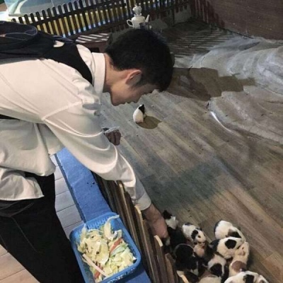 ˧綯ͷ Į˧ĶԪͷ