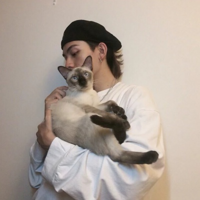 ȫͷϼ°