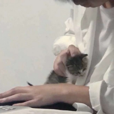 ¶˳ͷ