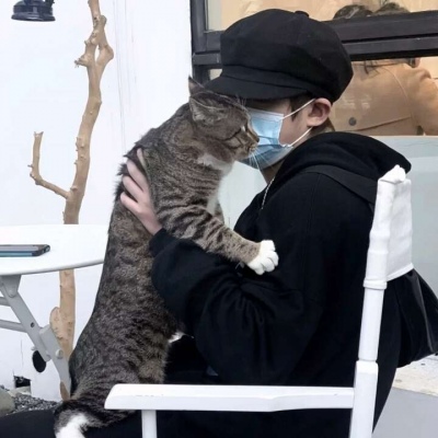 ͷ˿ɰ˧