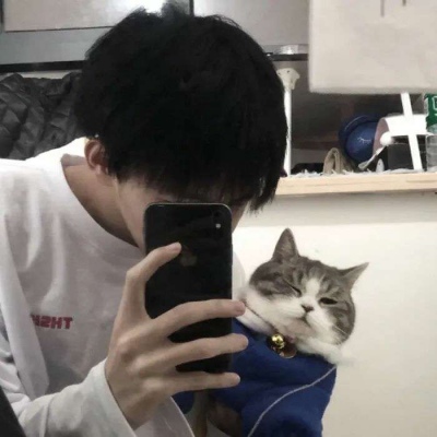 Сͷȫ
