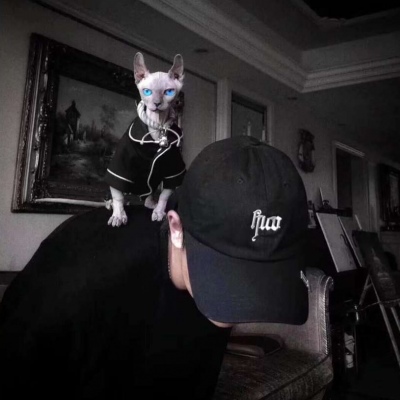 ÿůͷ
