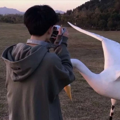 ʺõͷϼ