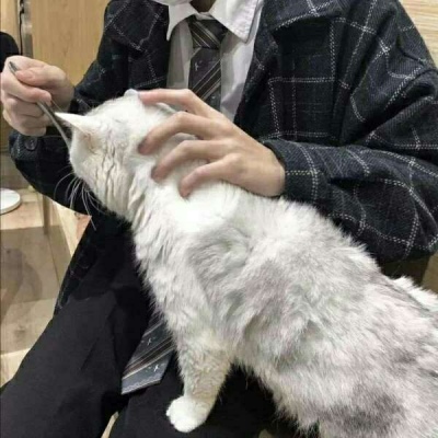 ͷ˧