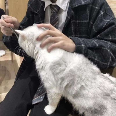 ͷ˧Ins糬