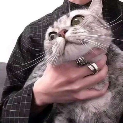 ͷ˧˸ ϣҲʧ