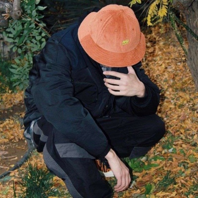 ͷ insͷ