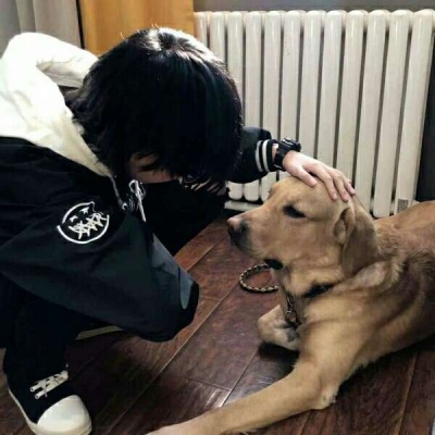 ˸й¶ͷ