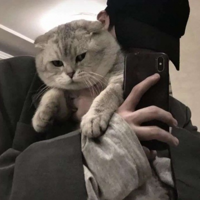 ʺõͷ˧