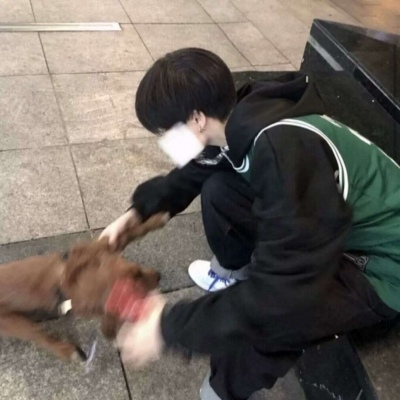 qqͷи