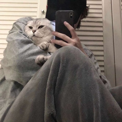 qqǸͷ