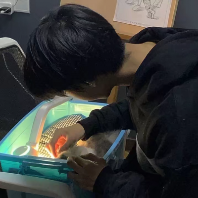 鸹ͼƬͷʵ ʮԸ
