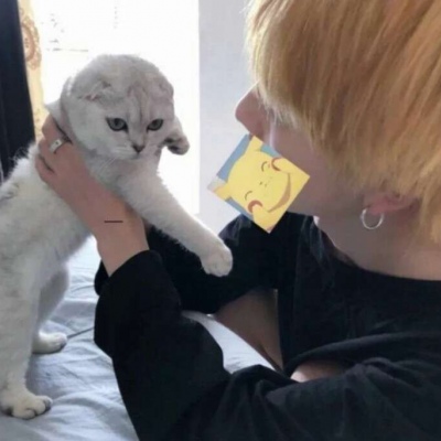 ͷ00˧ ʺ00ůͷ