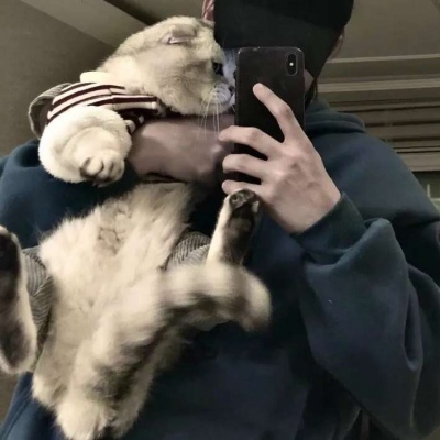 ˧ͷڰϵ