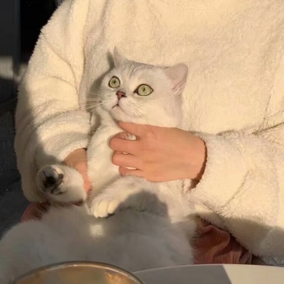 ÿ˧ͷ