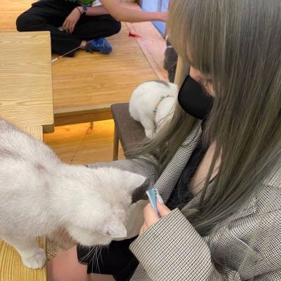 ȫ³¯ͷ˺ܿ