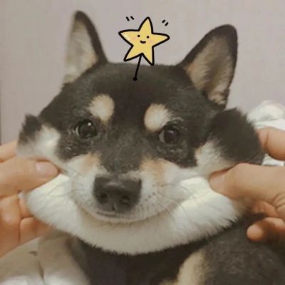 Цϲͷ˫