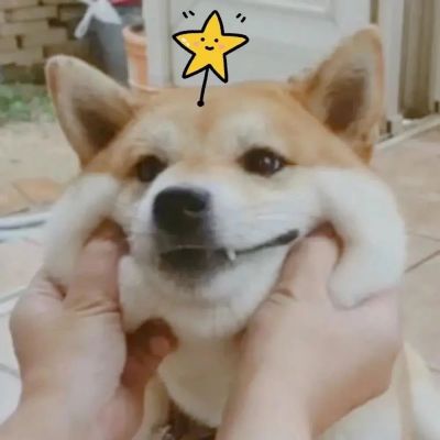 Цϲͷ˫