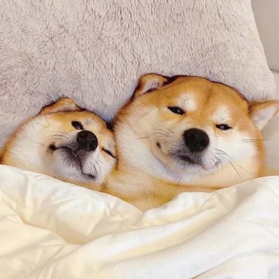 ³˱رͷϼ