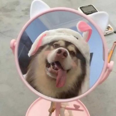 ԸеĴŮͷϼ