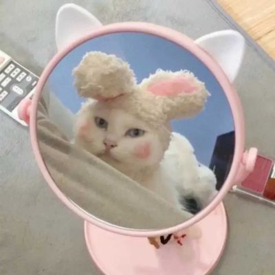 ԸеĴŮͷϼ