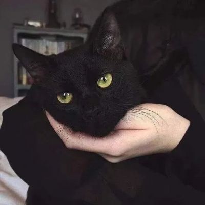 ۵Ľͷ˫