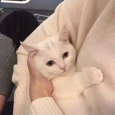 ۵Ľͷ˫