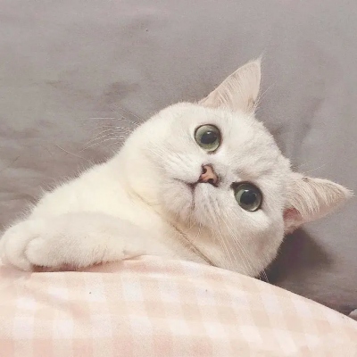 ĸͷ