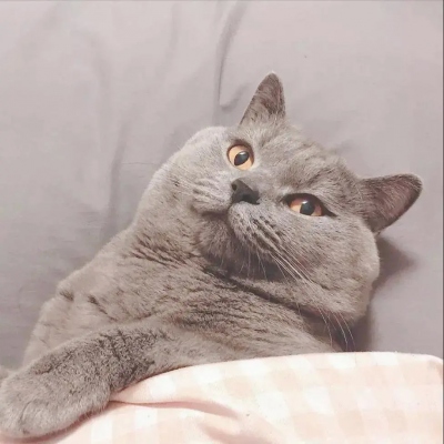 ĸͷ
