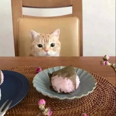 崿qqͷͼƬ