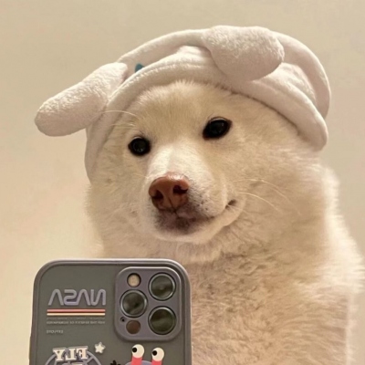 ůбر˧ÿͷ