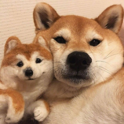 ˫Ҹͷ